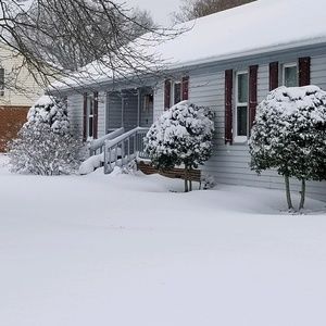 Meet your Posher, Tina